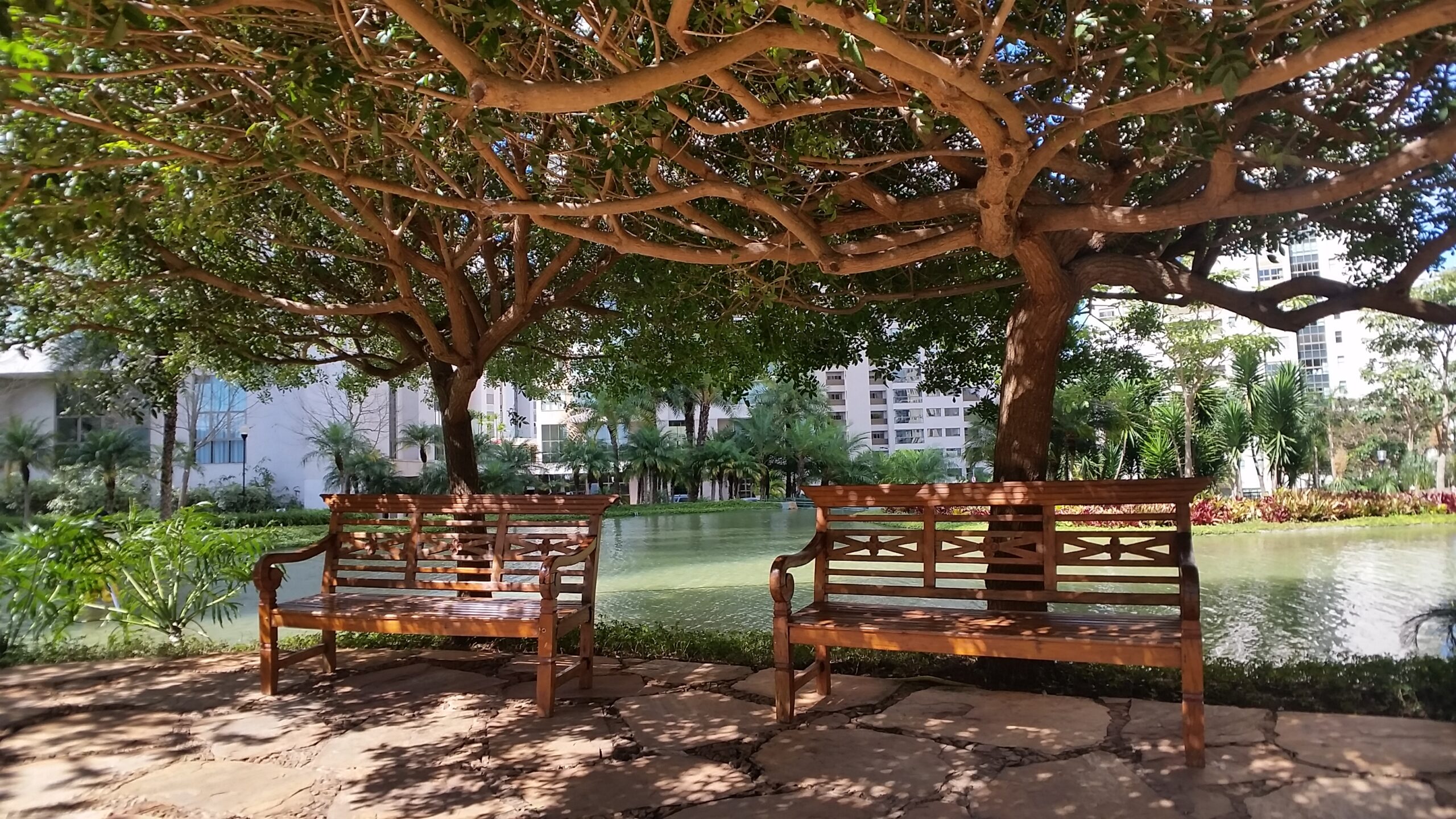 condominio olympus vila da serra