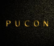 edifício pucon vila da serra
