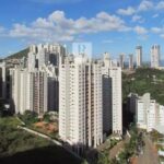lcg Bacchereto Vale do Sereno